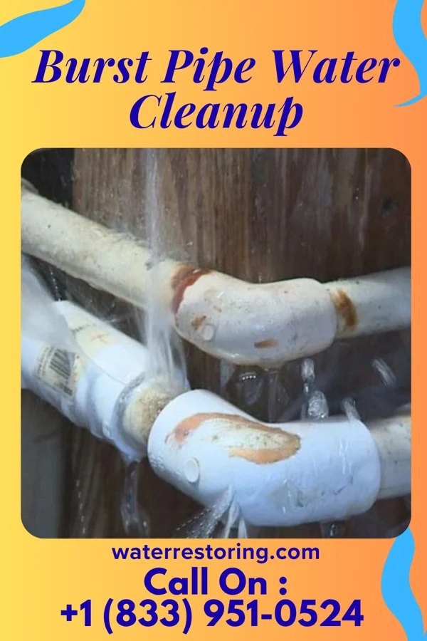 Burst Pipe Water Cleanup in Las Cruces, NM