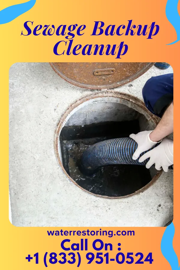 Sewage Backup Cleanup in Las Cruces, NM