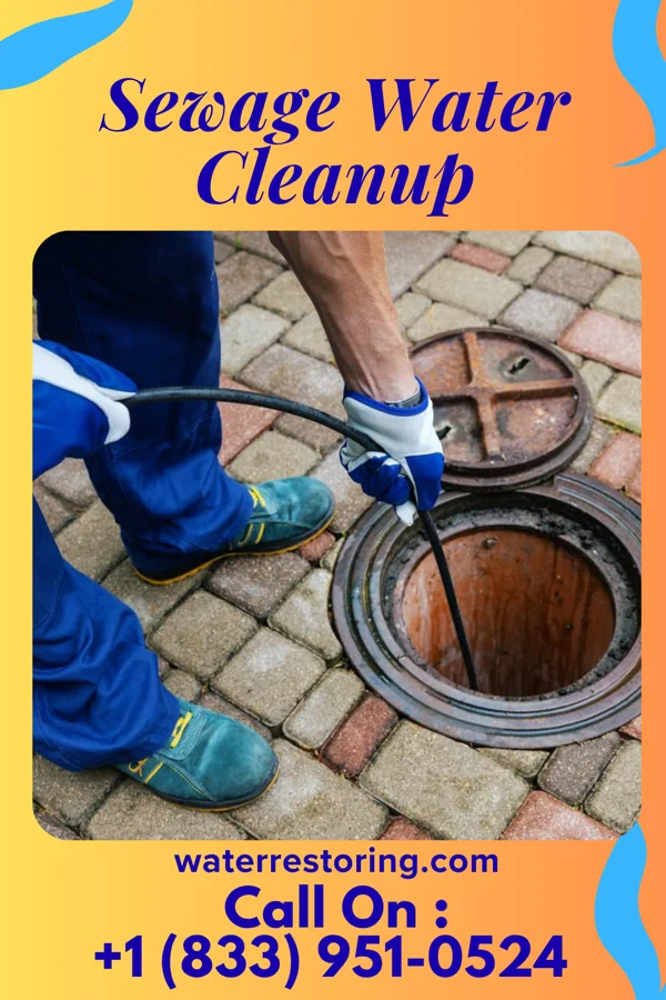 Sewage Water Cleanup in Las Cruces, NM